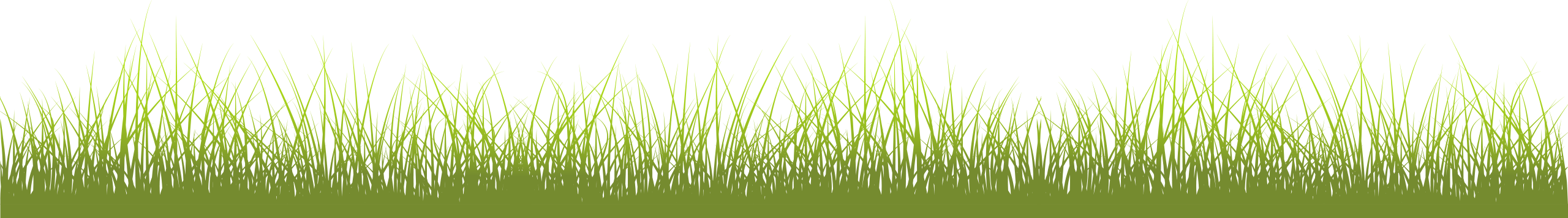 Kaderrand gras